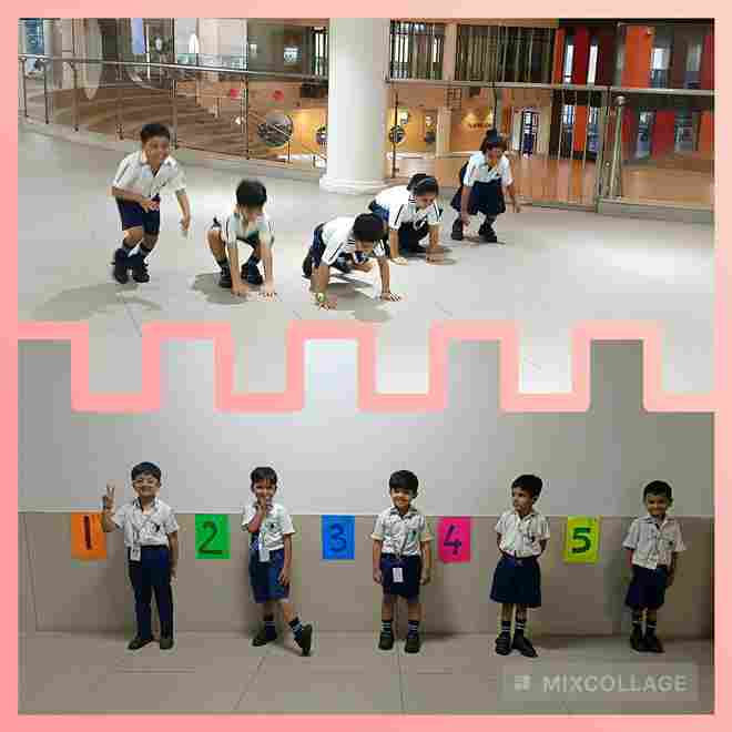 LKG Ordinal numbers activity